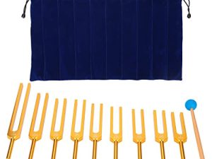Tuning Forks Chakra Set, Acero Inoxidable Tuning Fork 174Hz/285Hz/396Hz/417Hz/528Hz/639Hz/741Hz/852Hz/963Hz, 9 Chakras + 1 Soul Purpose Tuning Forks Striker Y Estuche Incluidos