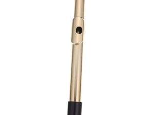 WHAMVOX Boquilla Boquilla Boquilla Flauta Headpipe Flautas De Plástico Flauta De Plástico Parte Flauta Boquilla Accesorios Flauta Accesorios Flauta Boquilla De Plástico Flauta Piezas De