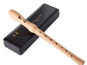 VLVEE Flauta Dulce Soprano en C Flauta Dulce de Arce de 3 Partes, Digitación Alemana, Estuche Rígido y Juego de Limpieza