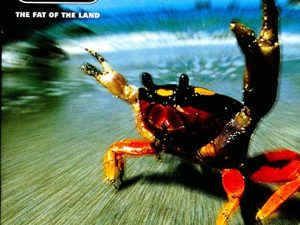 The Fat Of The Land