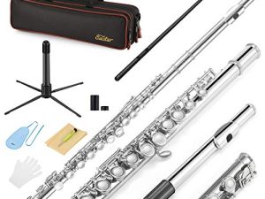 Eastar C Flautas Agujero cerrado 16 teclas para principiantes Instrumento de estudiante para niños con kit de limpieza, soporte, estuche, níquel, EFL-1