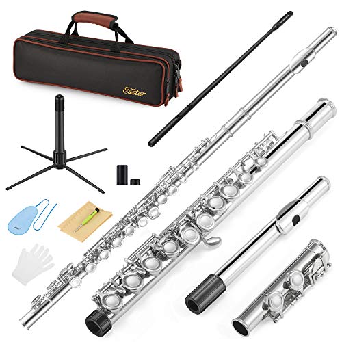 Eastar C Flautas Agujero cerrado 16 teclas para principiantes Instrumento de estudiante para niños con kit de limpieza, soporte, estuche, níquel, EFL-1