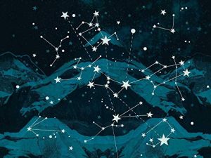 We Are the Night [Vinilo]