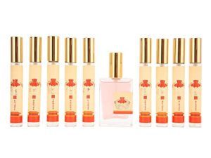 Juego de 10 Botellas de Perfume Frutales y Florales en Estuche de Almacenamiento Premium, Estuche de Almacenamiento, Caja de Succión Magnética, Ideal para el Día de Valentín