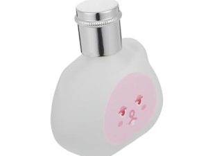 MAGICLULU 1 eau de toilette para hombres y mujeres regalitos cumpleaños laptop computador portátil mcbooks perfume fragancias para mujer lindo Vietnam alumno vidrio de embalaje