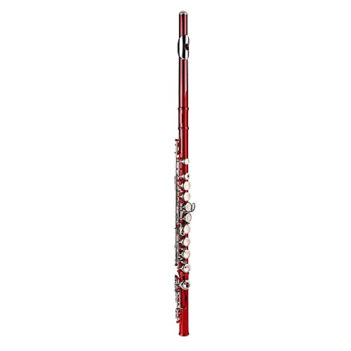 Juego de Instrumentos para Principiantes de Flauta de Latón con Llave C de 16 Orificios con Estuche de Almacenamiento, de Tela de Limpieza para Niños y Principiantes (rojo)