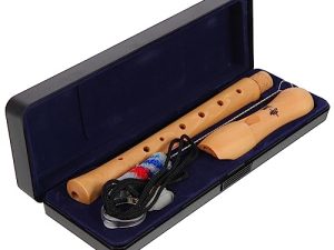 ifundom 2 Juegos Punta de agudos instrumentos musicales organos musicales grabadora principiante instrumento para principiantes flauta grabadora de 8 agujeros grabadoras