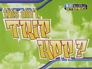 This Ain’t Trip Hop 2