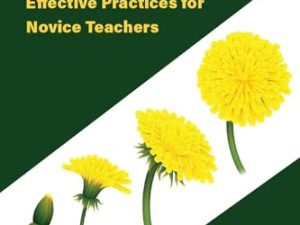 Navigating the English Language Classroom: Effective Practices for Novice Teachers