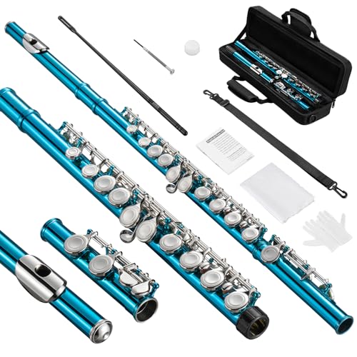 POGOLAB Flauta de Agujero Cerrado, E Dividida, Offset-G, Flauta de Estudiante de Pie C, con Estuche de Flauta/Kit de Limpieza de Flauta/Varilla de Sonda, Flauta de Níquel(Azul Cielo)