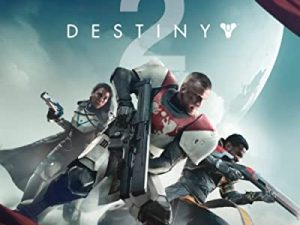Destiny 2 – PlayStation 4 [Importación inglesa]