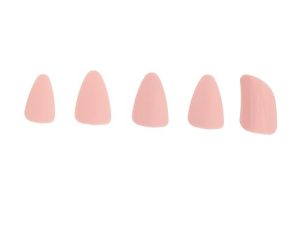 SAFIGLE 5piezas Uñas Postizas Laúd Protectores Dedos Accesorios Instrumentos Mus
