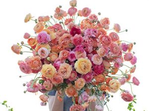 Floret Farm’s A Year In Flowers: Designing Gorgeous Arrangements for Every Season