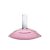 CALVIN KLEIN Euphoria Eau de Toilette para mujer| Fragancia femenina ambar afrutada gourmand con notas de ciruela marible y acorde de vainilla fresca | 100 ml