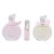Set de Perfume Floral para Mujer, Elegante y Duradero, Oro Rosa, Botella Delicada, Pulverización Uniforme, Apto para Oficina, Citas