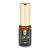 Pure Passion Luxiva – Feromonas Perfume – Feromonas Perfume Hombre – Perfume de larga duración para hombres – Perfume de feromonas para citas y uso diario – Parüm Men 15 ml