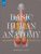 Basic Human Anatomy: An Essential Visual Guide for Artists