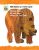 Brown Bear, Brown Bear, What Do You See? 50th Anniversary (Brown Bear and Friends)